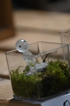 Copyright : Malau Deyres